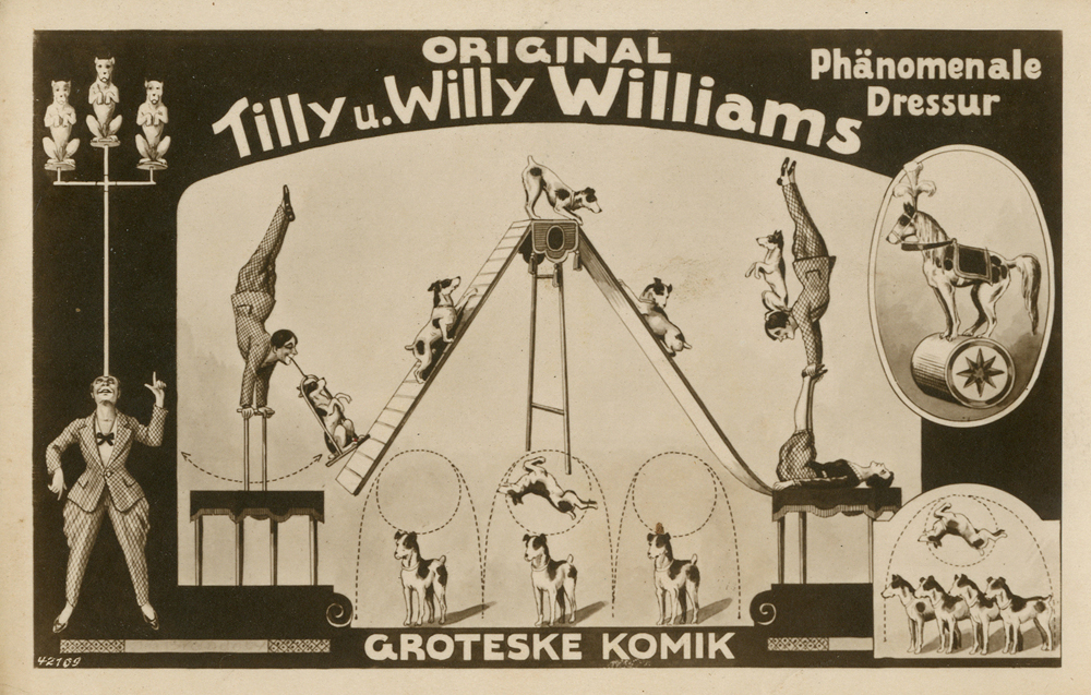 Tilly u. Willy Williams aus Brackemich
